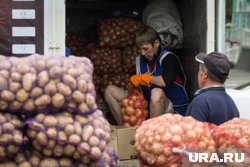 Китай поставил в Россию 75 тысяч тонн картофеля вместо прошлогодних двух тысяч тонн