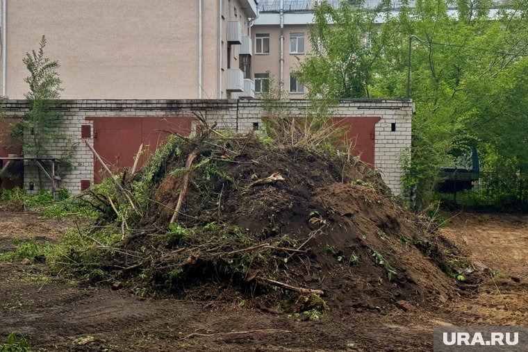 На Гоголя, 37А срубили деревья