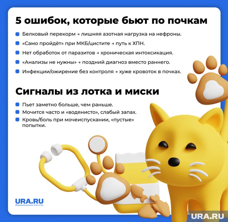 Неправильное лечение может навредить