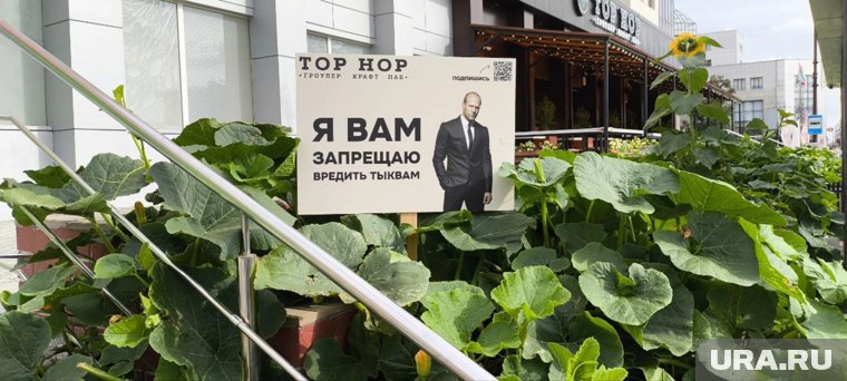 Звезда боевиков запрещает тюменцам вредить тыквам