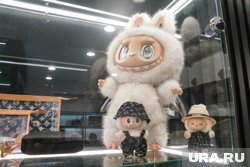 Популярная игрушка появится в курганском ТРЦ
