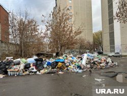 Свалки были найдены квартальными Тюмени (архивное фото)