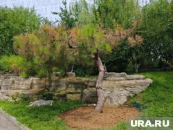 Парк Дяоюйтай имеет многовековую историю