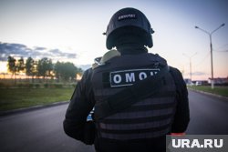Силовики уничтожили найденные гранаты