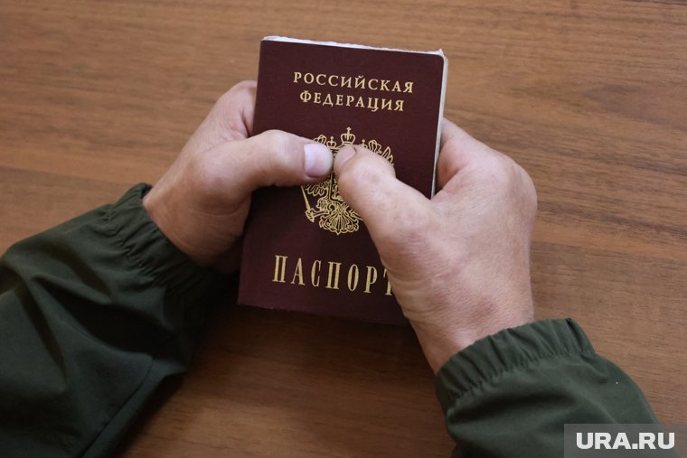 В России снизилось количество выданных паспортов и видов на жительство