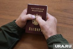 В России снизилось количество выданных паспортов и видов на жительство