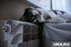 Годом ранее отопительный сезон начался 23 сентября