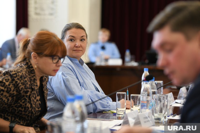 Екатерина Мезинцева предложила СМИ создать инициативную группу по теме киосков