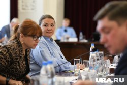 Екатерина Мезинцева предложила СМИ создать инициативную группу по теме киосков