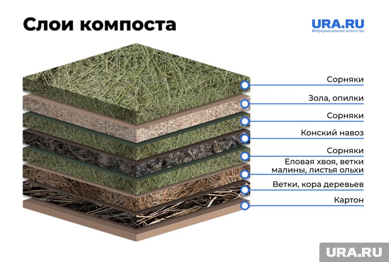 Слои в компосте лучше укладывать в определенной последовательности
