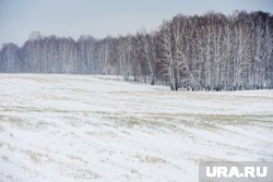 Чтобы не потерять землю, компания сделает поле пригодным для посевов 