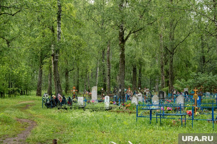 на кладбищах не были оборудованы места для сбора мусора 