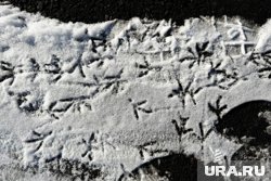 Приметы и поверья 7 октября