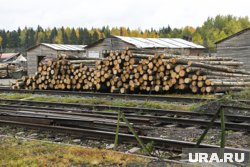 ОПГ Молякова боролась за бизнес лесозаготовок