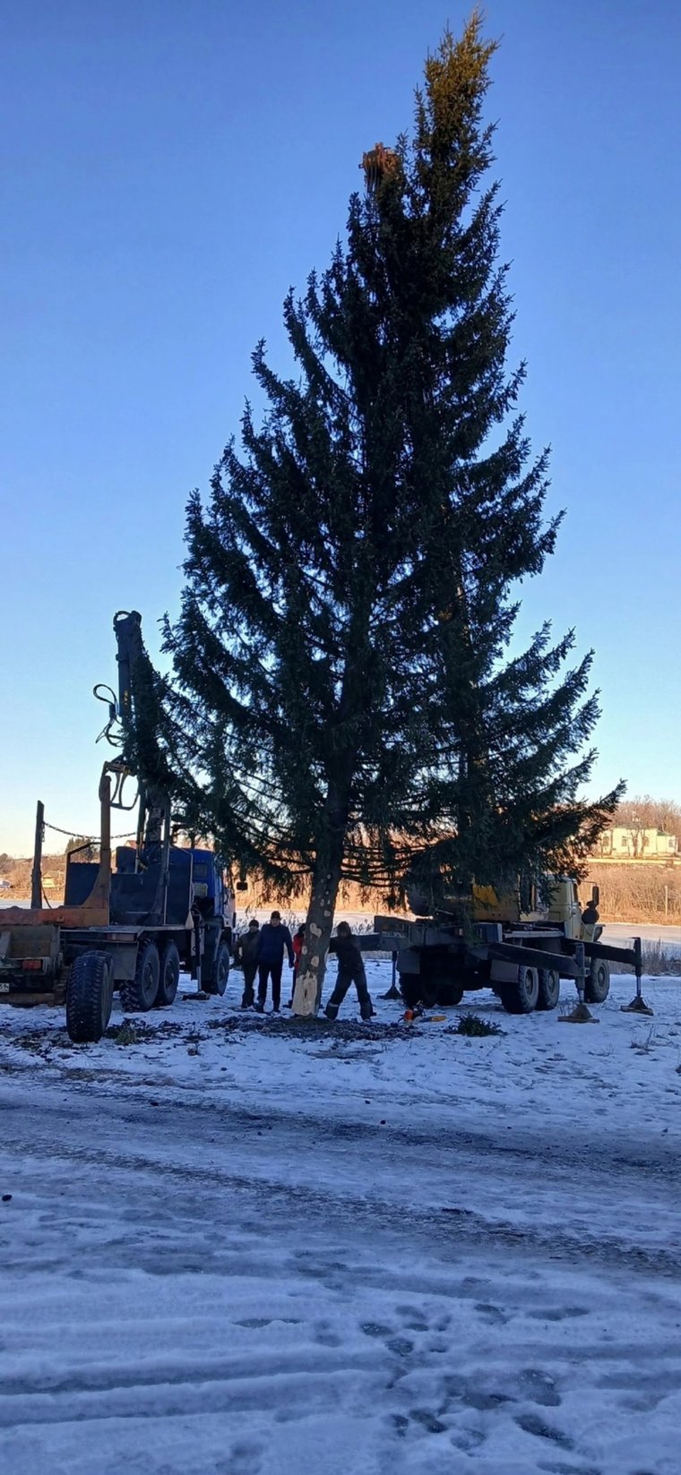 Новогодюю елку в Суксуне ставят всем миром