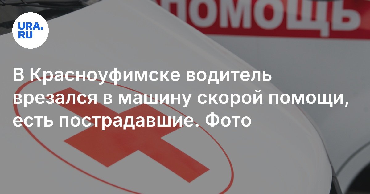 Включи ее скорее. Включи ее скорее. Включай шуфика собака. Включи ее скорее. Мем тебе втащить.