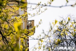 В Свердловской области потеплеет до +19 градусов