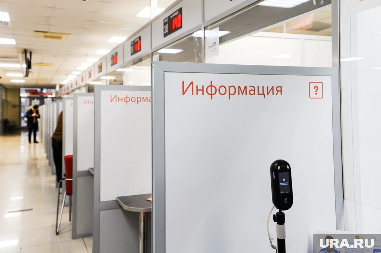 Подать заявление можно в МФЦ, ТИК, УИК или на «Госуслугах»