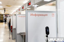 Подать заявление можно в МФЦ, ТИК, УИК или на «Госуслугах»