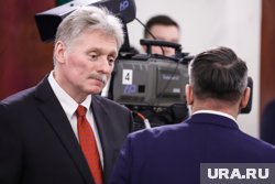 Германия делает все, чтобы формировать образ врага из России, заявил Дмитрий Песков