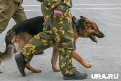 На границе РФ и Эстонии большая очередь после военных учений
