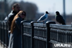 Жители Ханты-Мансийска проголосовали за благоустройство набережной