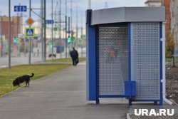 В Заозерном районе Кургана переименовали остановки