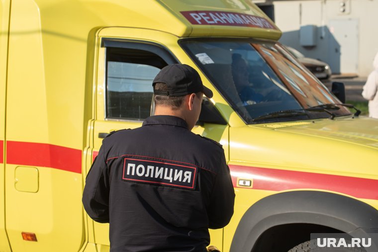 Полиция разбирается в причинах ДТП