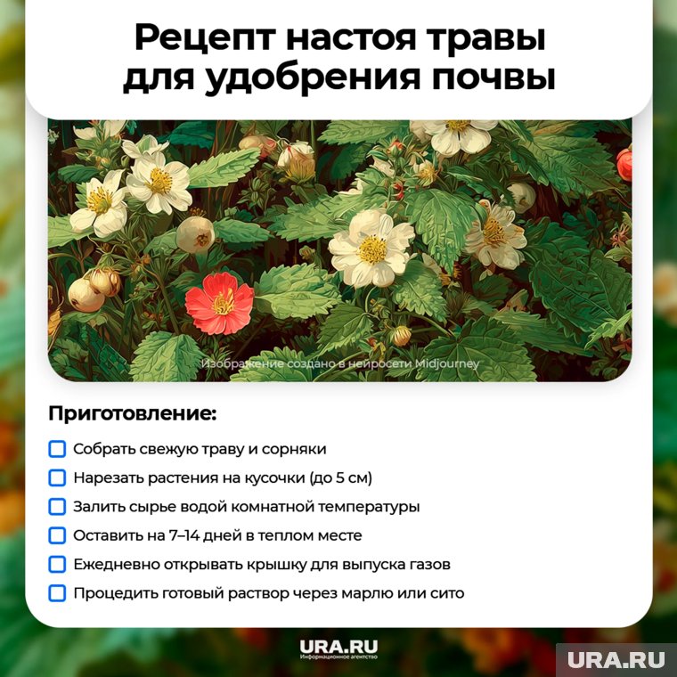Настоем травы нужно пролить все грядки