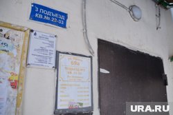 Девочки успели зайти в подъезд до обрушения облицовки