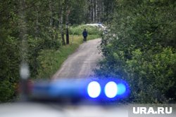 На месте происшествия работала группа полицейских