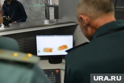 Таможенники Нижневартовска обнаружили нелегальную алычу у пассажира из Баку