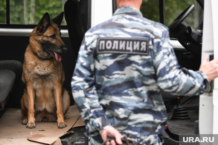 Житель Екатеринбурга отправится в колонию за попытку сбыть наркотики