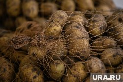 На доске объявлений можно найти десятки объявлений о продаже картофеля