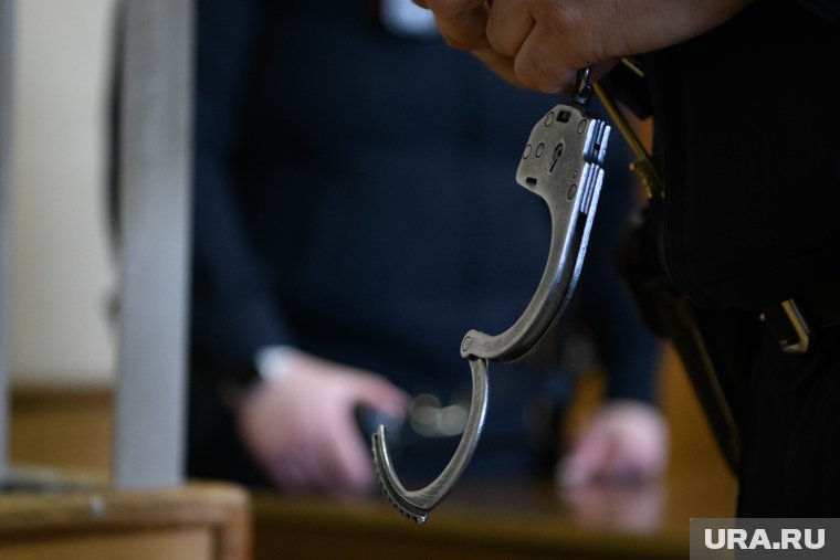 Предприниматель Моисеев, обвиняемый в мошенничестве, частично отказался от признательных показаний