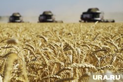 Рабочим обещают высокую зарплату