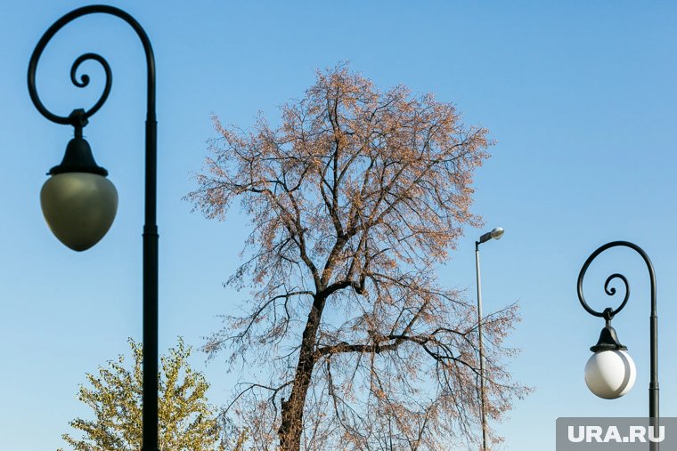 Днем потеплеет до +5 градусов