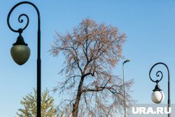 Днем потеплеет до +5 градусов