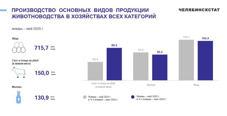 За пять месяцев молока в Челябинской области произвели 130,9 тысячи тонн 