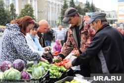 Фермерскую продукцию торговые сети редко берут на реализацию