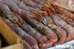 Торговля морепродуктами между РФ и ЕС продолжает расти