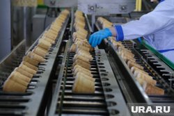 Челябинских детей приглашают посетить фабрику мороженого 
