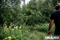 Спасатели две недели разыскивают пенсионерку, которая пропала в лесу
