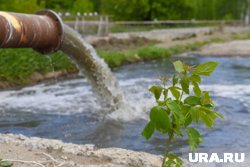 Бесхозный водоканал топит садовые участки