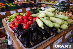 Продажи баклажанов и кабачков в России резко снизились на 16% и 10,5% соответственно 