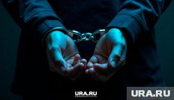 Член СПЧ Кабанов: преступления против детей должны караться пожизненным заключением