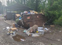 К таким картинам ревдинцы уже привыкли