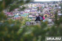 Объем оказываемых услуг вырос на 11% с 2024-го