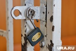 Попов построил дом и баню на деньги для парка «Патриот»