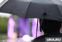 В Москве выпало почти 20% от месячной нормы осадков за 30 июня, заявил Тишковец